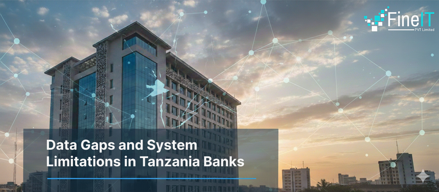 Data Gaps and System Limitations in Tanzania Banks