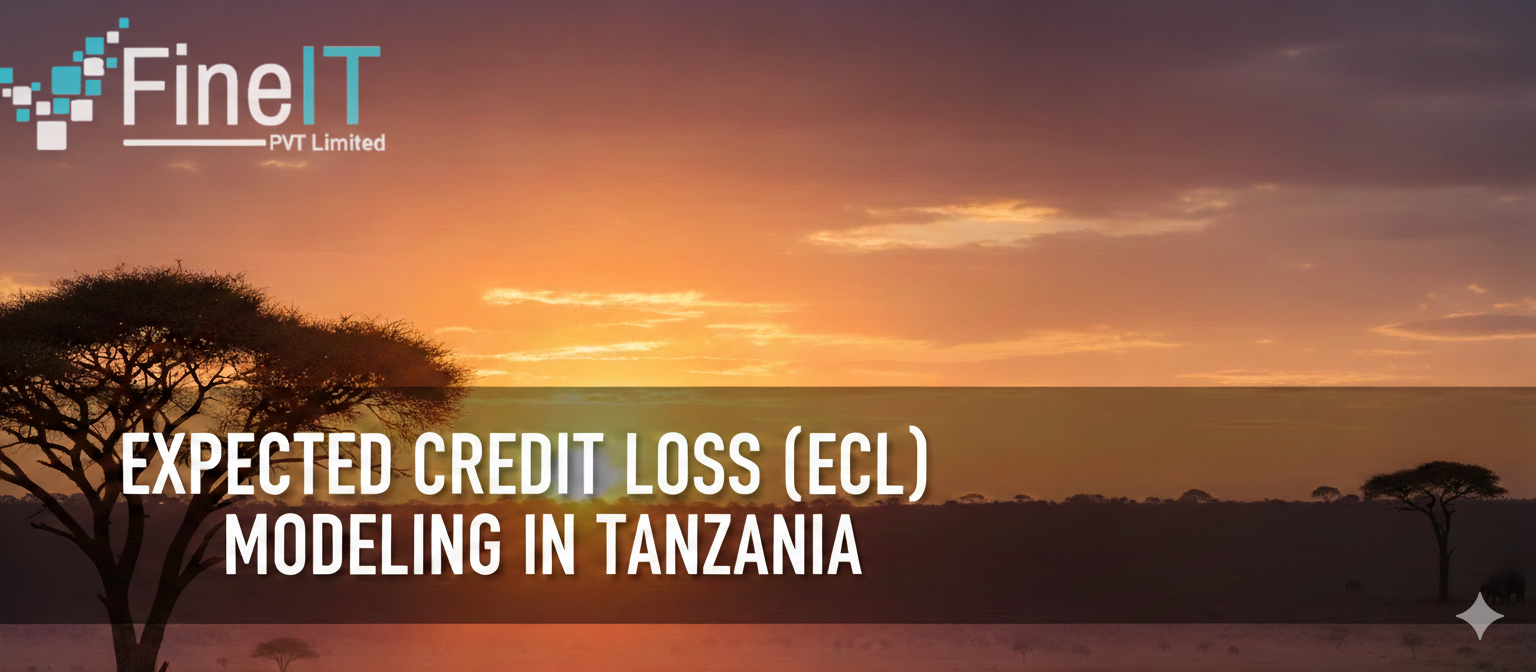 Expected Credit Loss (ECL) Modeling in Tanzania